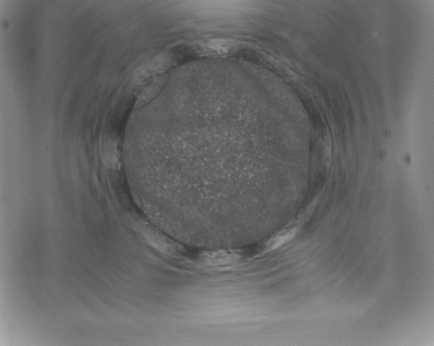 X0000072500331200608041447