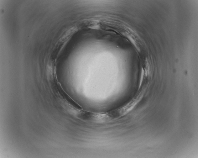 X0000072500333200608041447