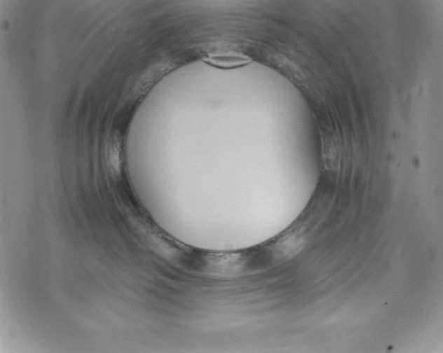 X0000072500334200608041447