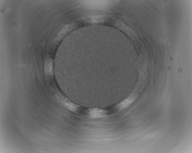 X0000072500336200608041447