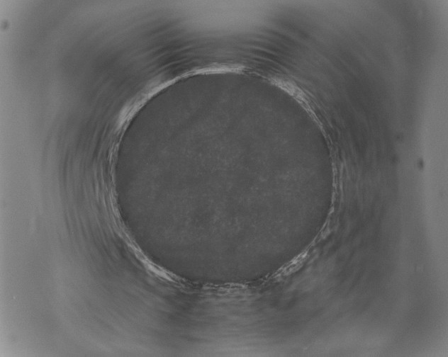 X0000072500337200608041447