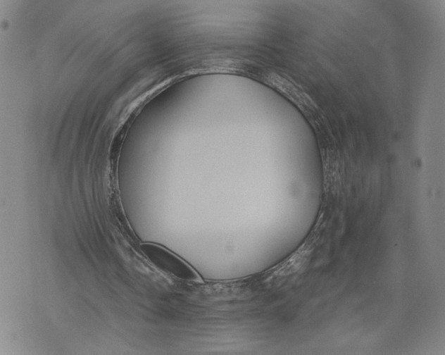 X0000072500338200608041447