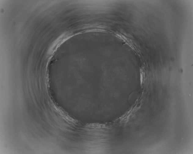 X0000072500339200608041447