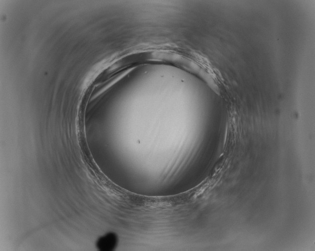 X0000072500340200608041447