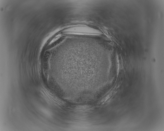 X0000072500342200608041447