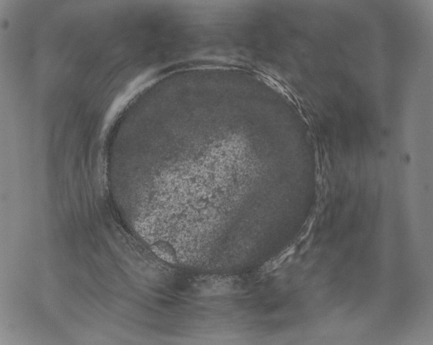 X0000072500343200608041447