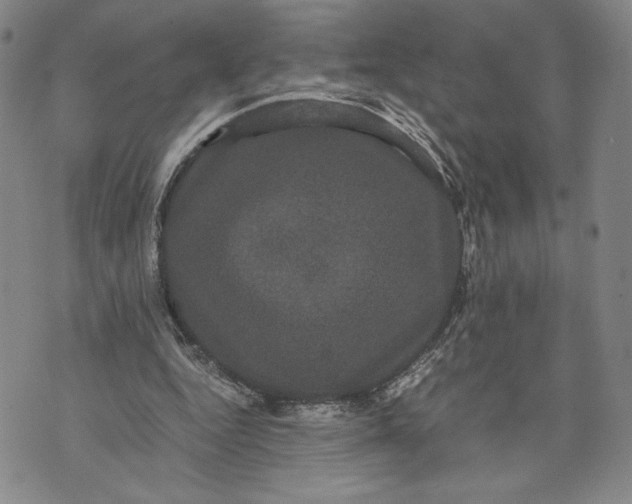 X0000072500344200608041447