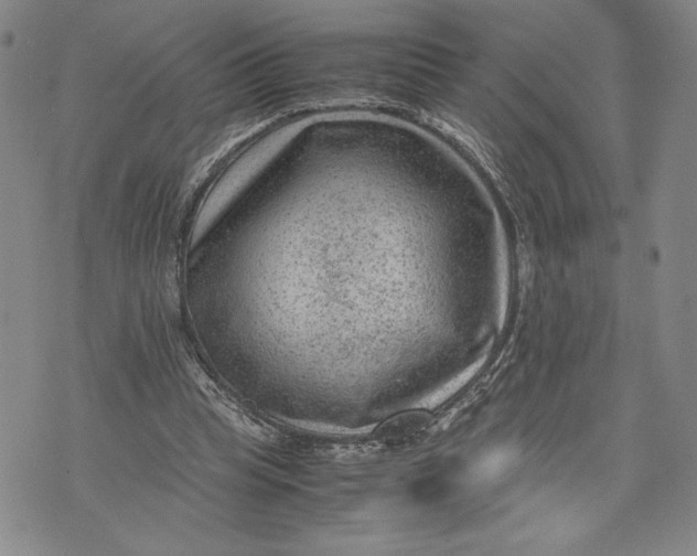 X0000072500345200608041447