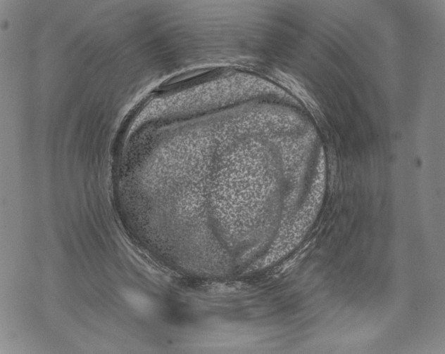 X0000072500346200608041447