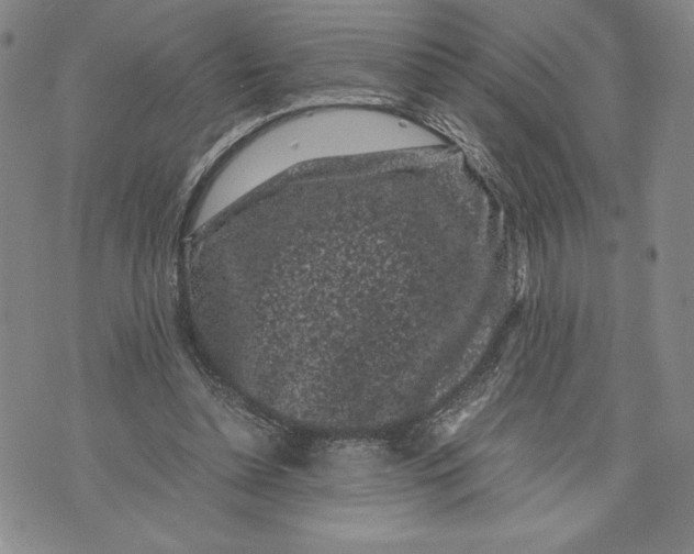 X0000072500348200608041447