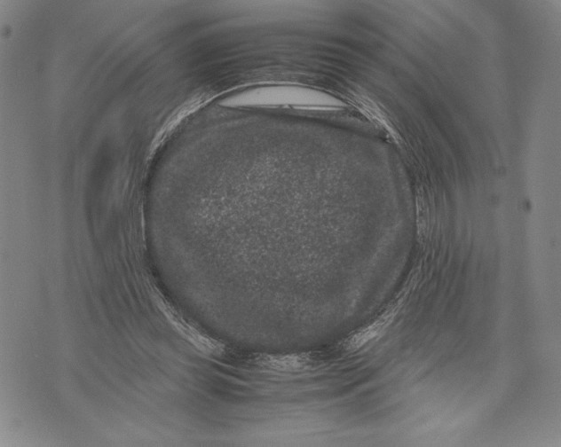 X0000072500349200608041447