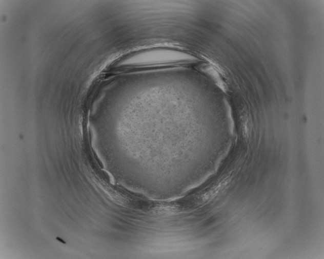 X0000072500350200608041447