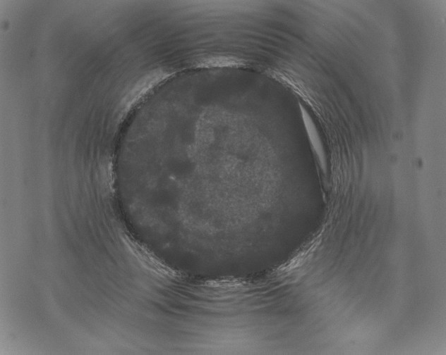 X0000072500351200608041447