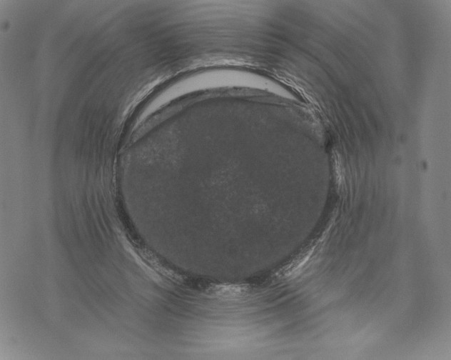 X0000072500352200608041447