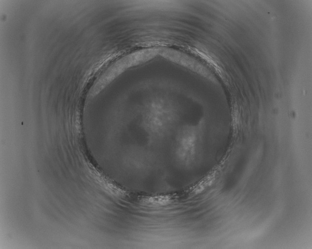 X0000072500353200608041447