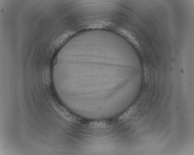 X0000072500354200608041447