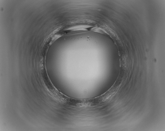 X0000072500356200608041447