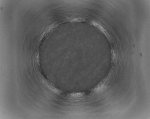 X0000072500357200608041447