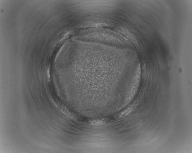 X0000072500358200608041447