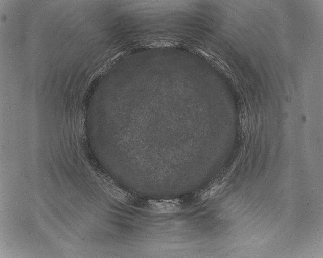 X0000072500359200608041447