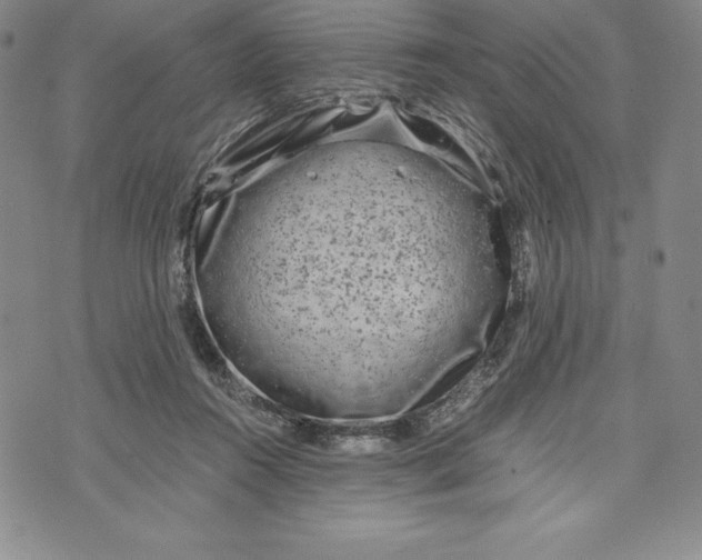 X0000072500360200608041447