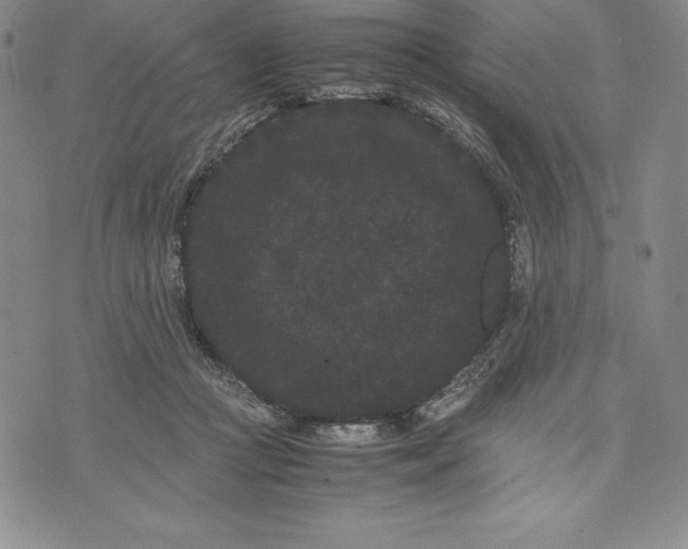 X0000072500361200608041447