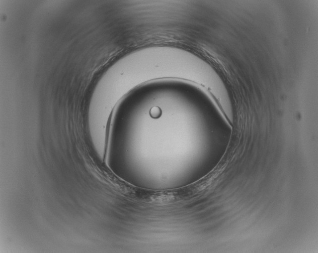 X0000072500362200608041447