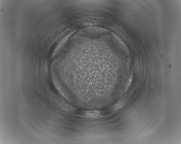 X0000072500363200608041447