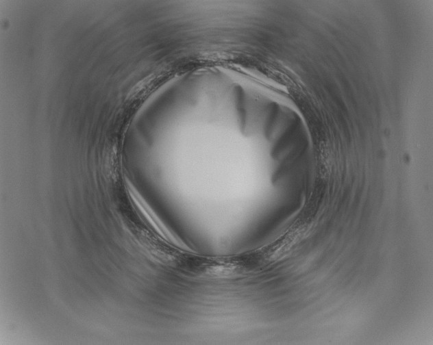 X0000072500364200608041447