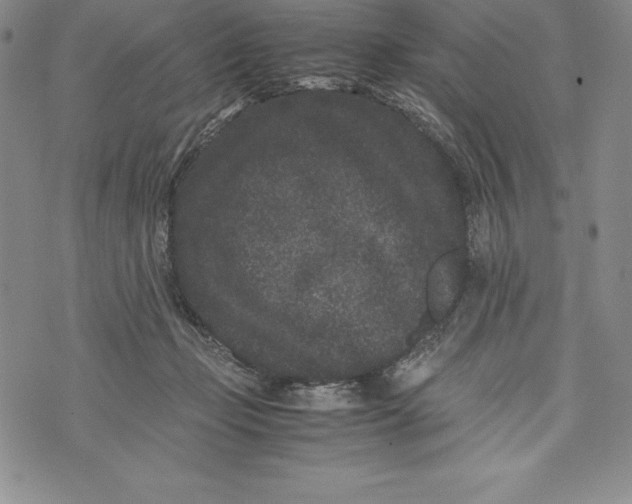 X0000072500365200608041447