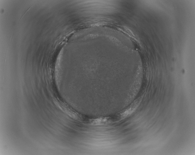 X0000072500366200608041447