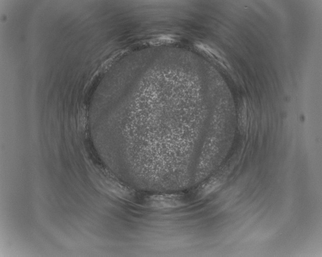 X0000072500367200608041447