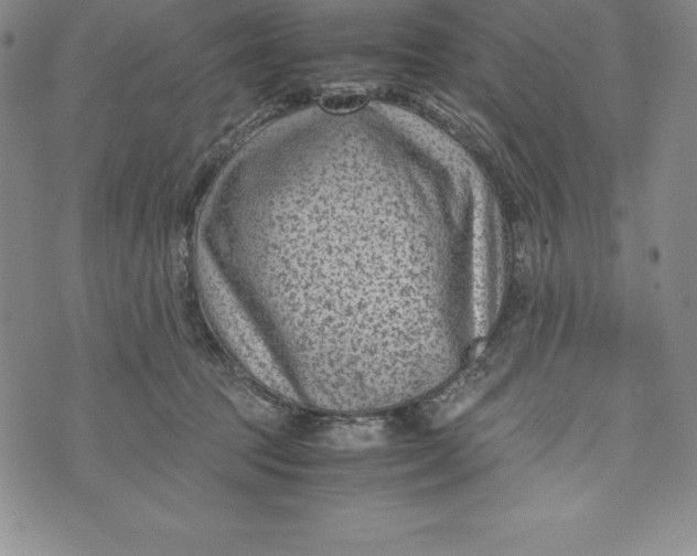 X0000072500369200608041447