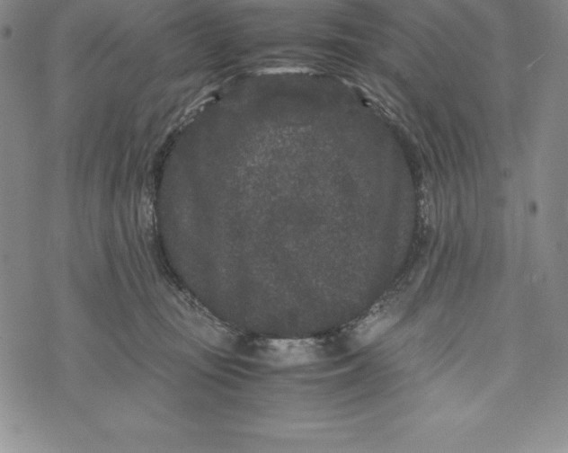 X0000072500371200608041447