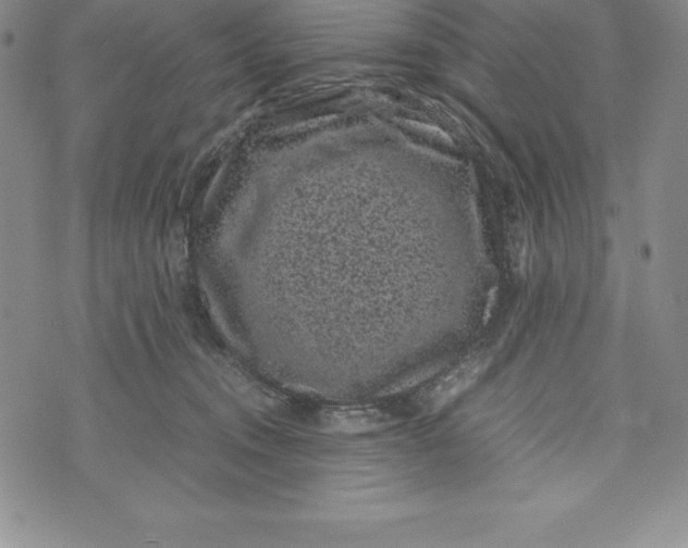 X0000072500372200608041447