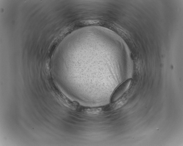 X0000072500373200608041447