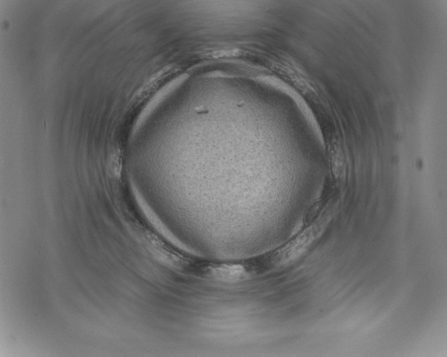 X0000072500374200608041447