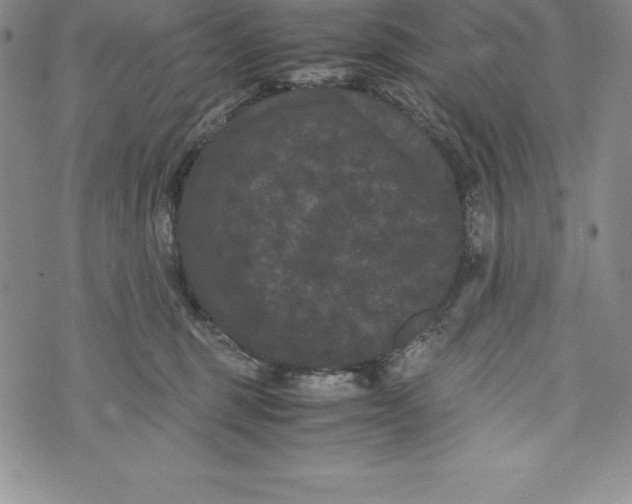 X0000072500375200608041447