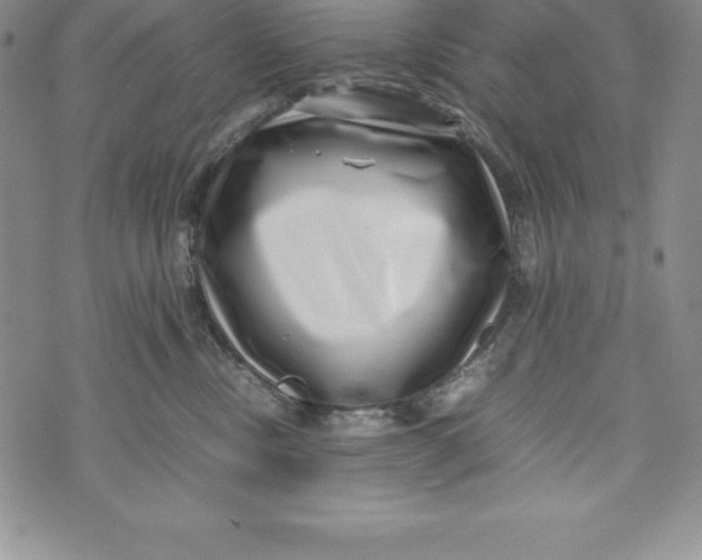 X0000072500378200608041447