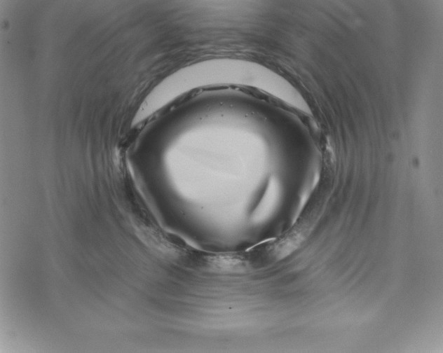 X0000072500380200608041447