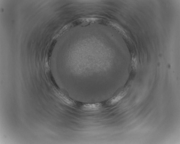 X0000072500381200608041447