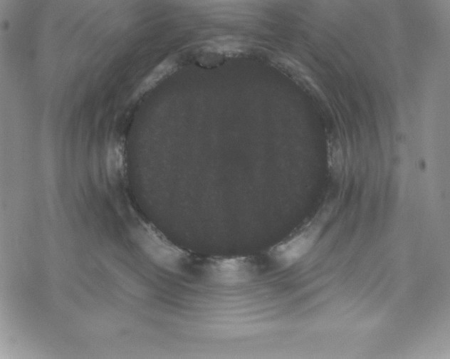 X0000072500382200608041447