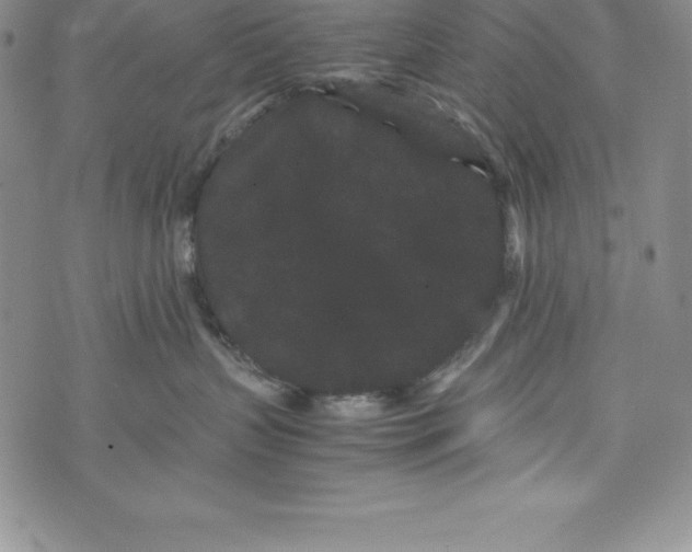 X0000072500383200608041447