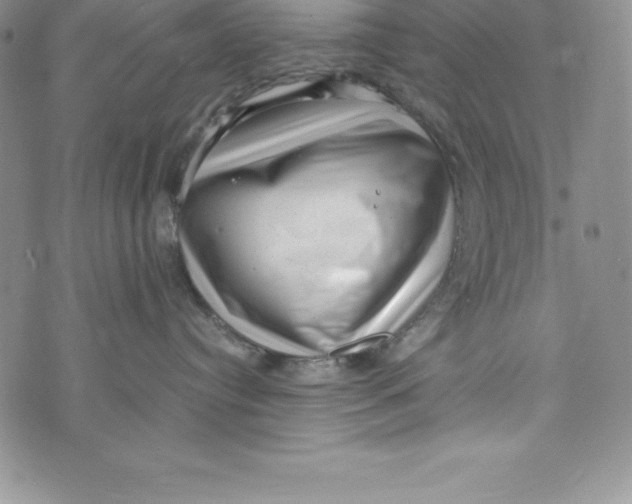 X0000072500384200608041447