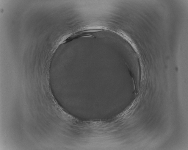 X0000072500385200608041447