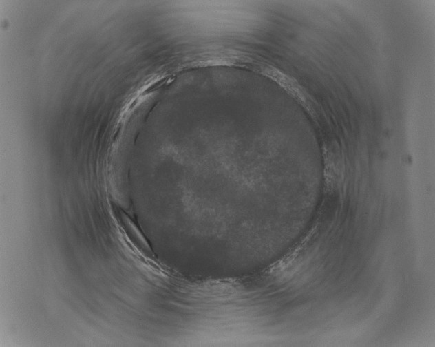 X0000072500386200608041447