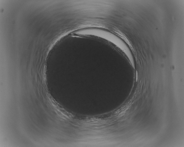 X0000072500387200608041446