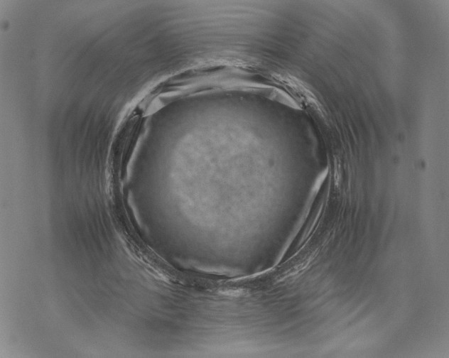 X0000072500388200608041446