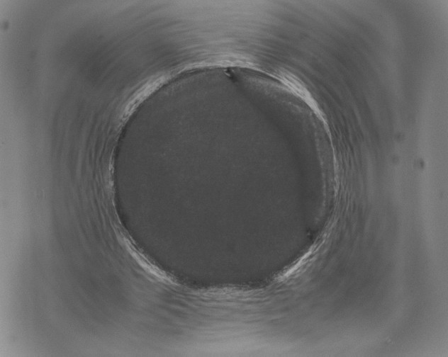 X0000072500389200608041446