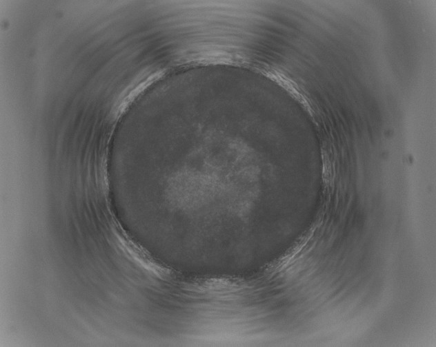 X0000072500390200608041446